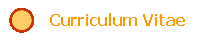 Curriculum Vitae